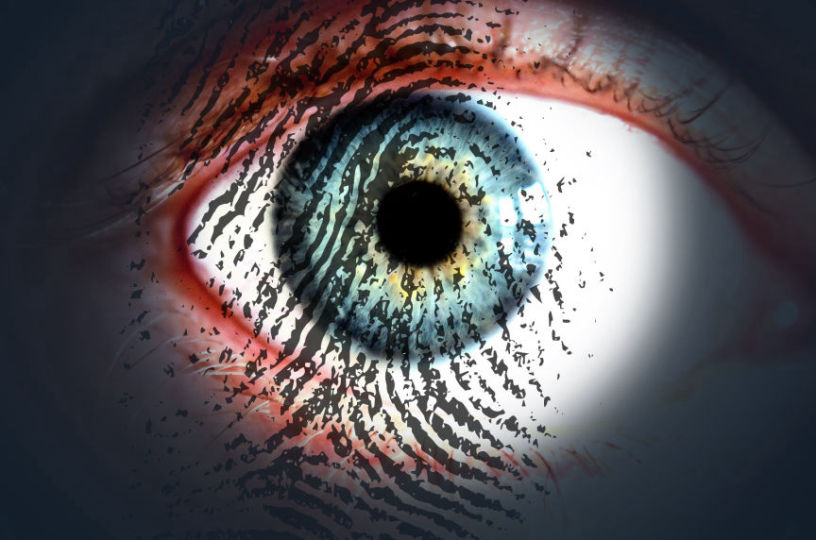 Network monitoring and intrusion detection
