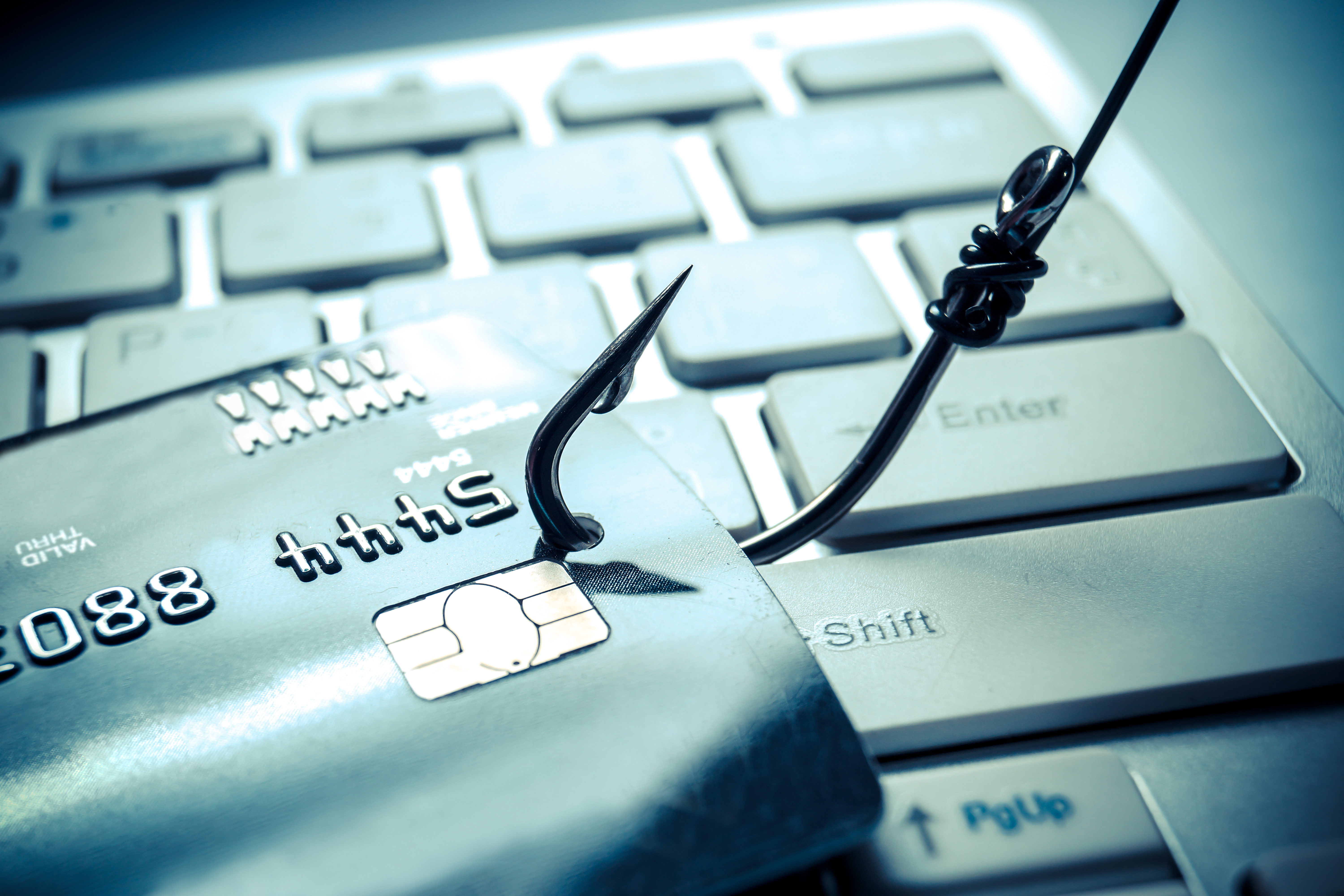 Domain monitoring and threat detection